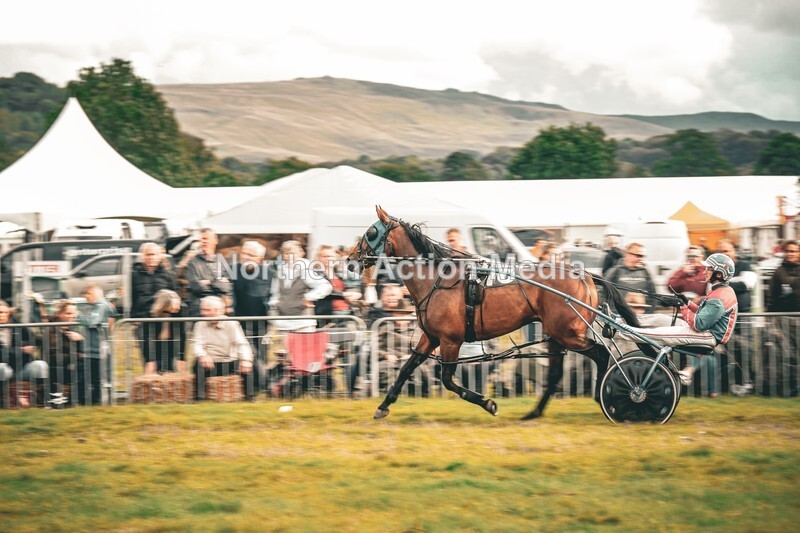 DSCF7237 - Kilnsey Harness racing