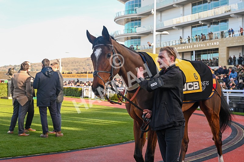 250125-Race 2-Believitanducan-2981 - Race 2