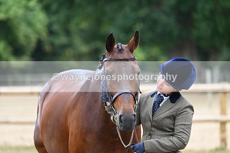 WJ7_9227 - Class 4a Prettiest Mare 14.2hh and over