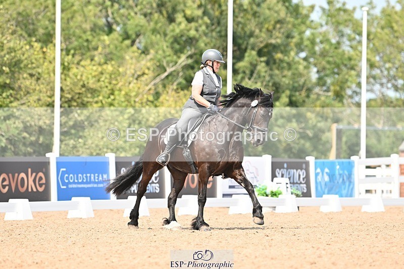 250816-133137-04727 - 115-Alison.AndrewsBercoed.Sambo