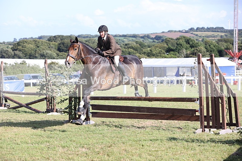 JPP_3098 - Class 21: Working Hunter 80cm