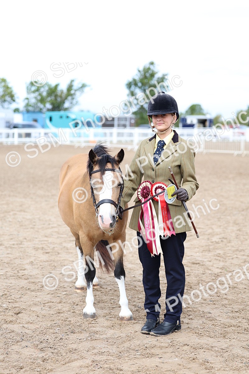 SBM_01525 - Class 17 - Prettiest Mare