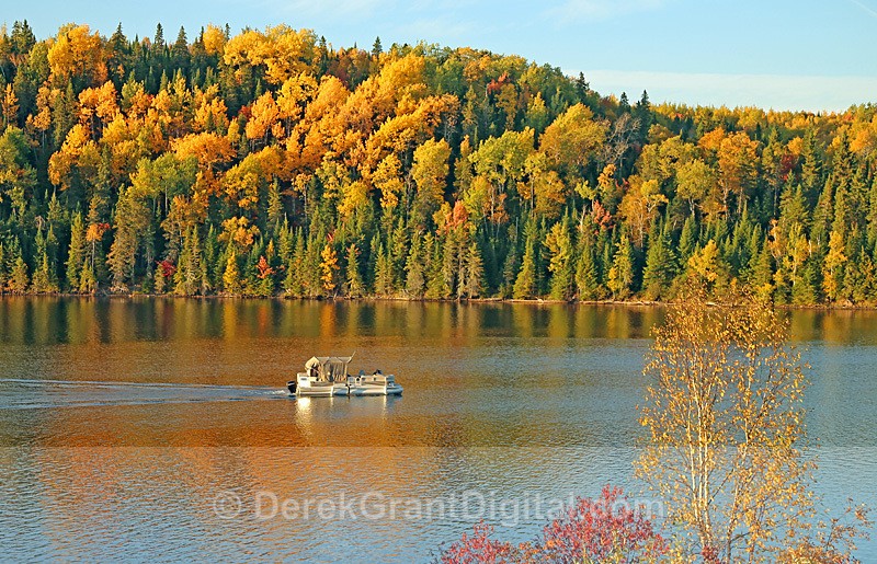 Autumn along the Tobique River Carleton-Victoria  New Brunswick Canada - Autumn Foliage