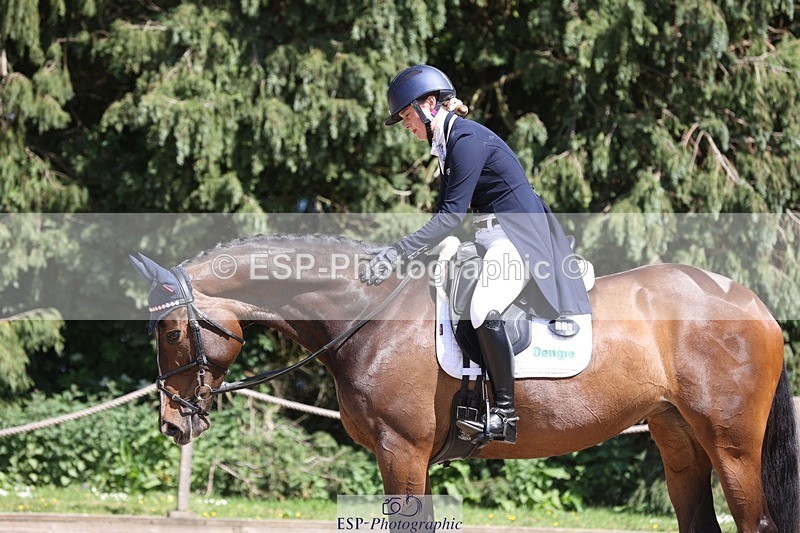 230526-151646-06669 - 379-QUIZICAL_Z-Alice_Hallows-WEDTrotUp+DR