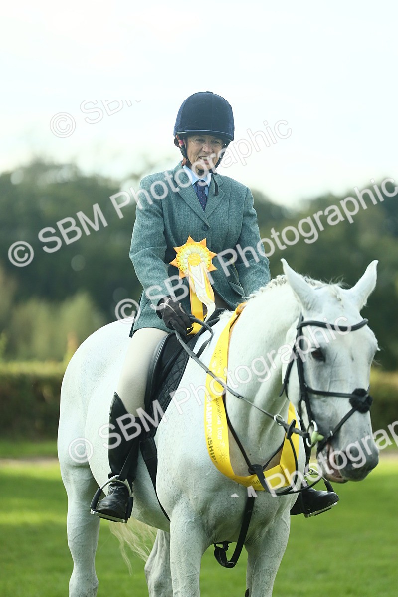 SBM_52218 - S33 - Working Hunter & Working Show Horse