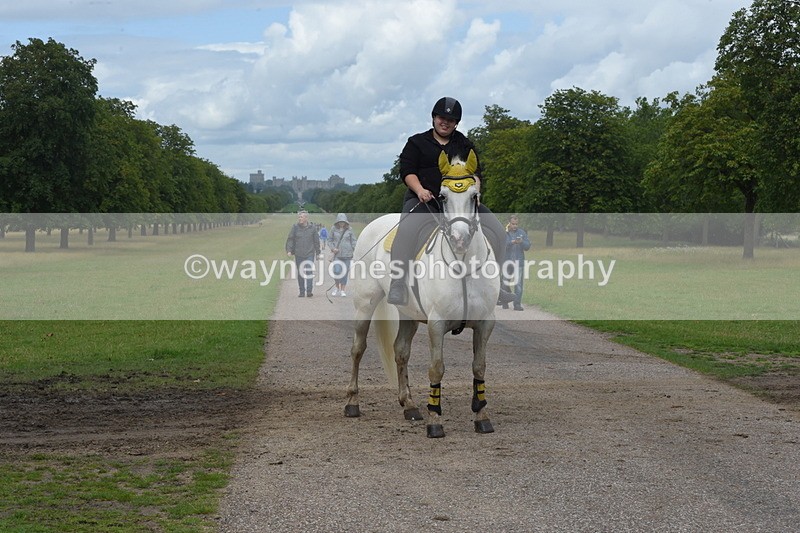 TT3_0362 - Time at Crossing 13:17 to 14:48