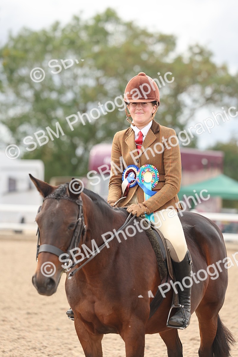 SBM_18077 - Class 314 - Family Horse Pony