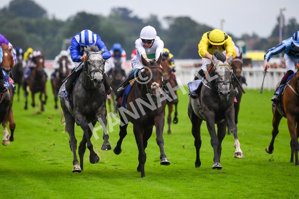 yr21082021r2-16 - Race 2 2.25pm Sky Bet Melrose Stakes