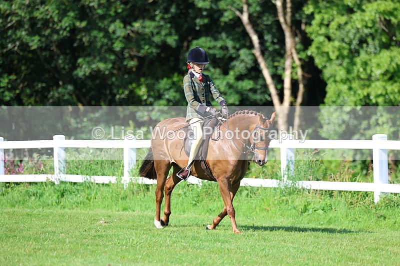 3E7A5972 - Class 27: Novice Working Hunter Pony