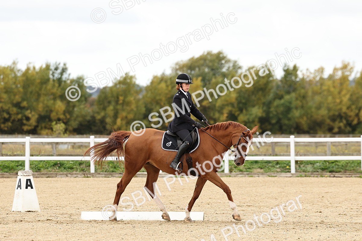 SBM_004560 - Class 69 - Novice 2