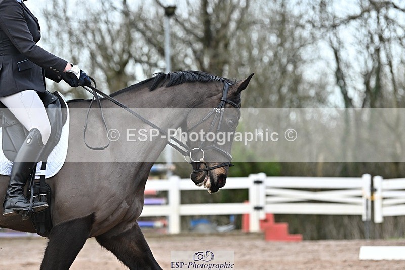 250125-143241-00858 - Dressage - CT Class 7 BE Novice 112