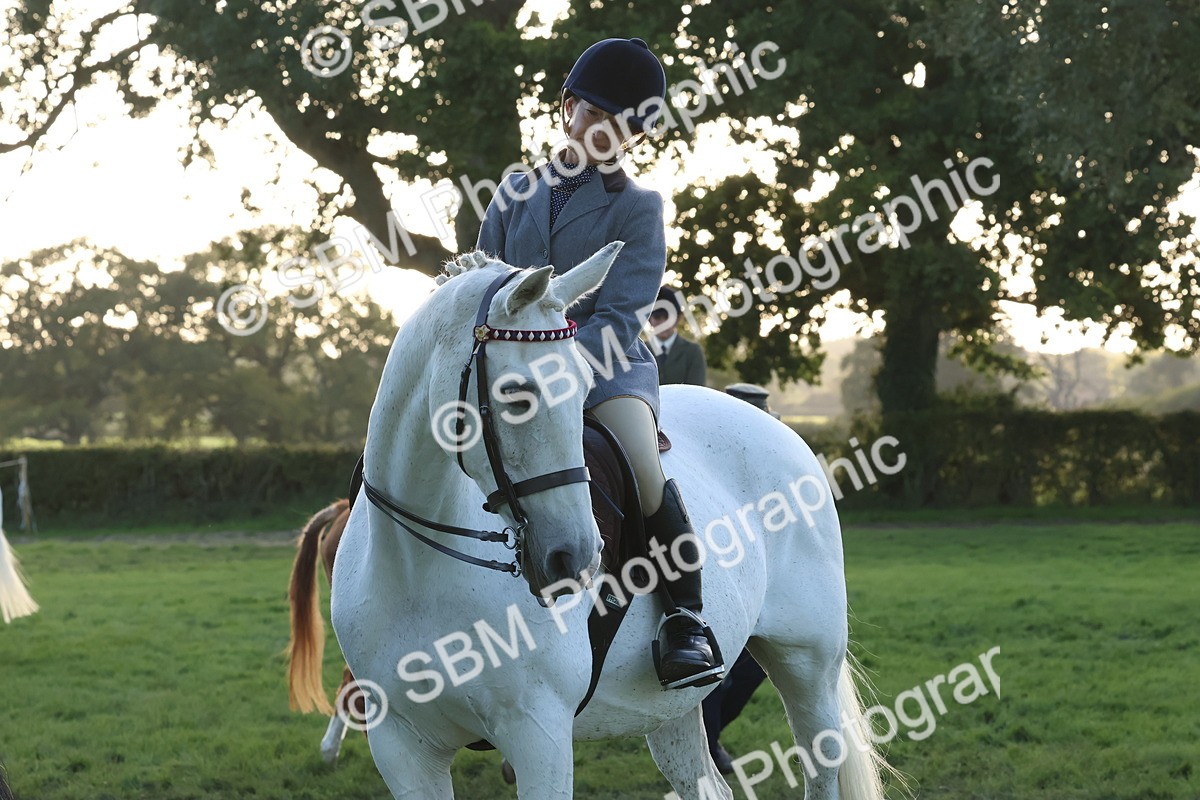 SBM_53088 - S29 - Mature Veteran Ridden