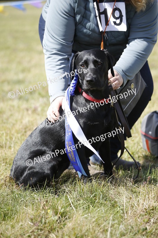 20250831-3726 - Dog Show