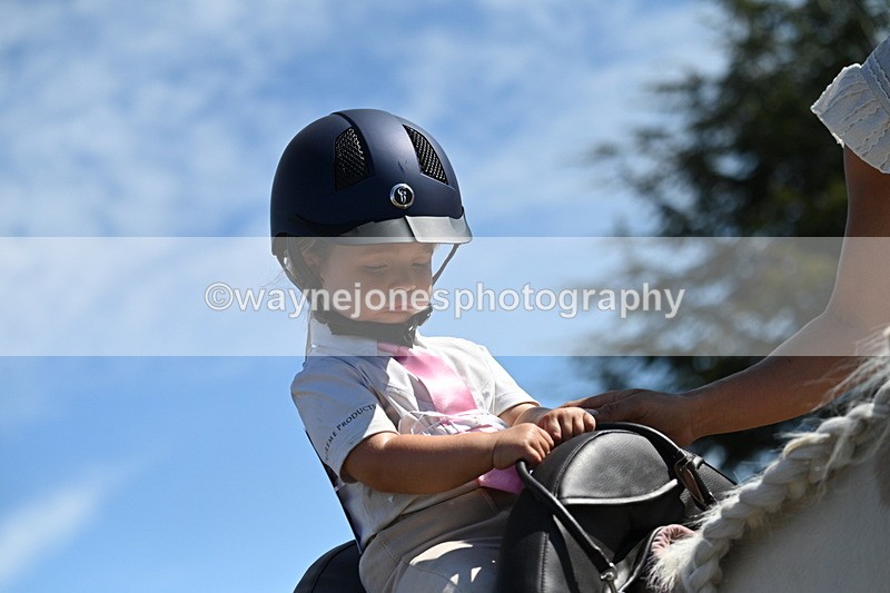 WJ7_1256 - Class 41 Prettiest Mare