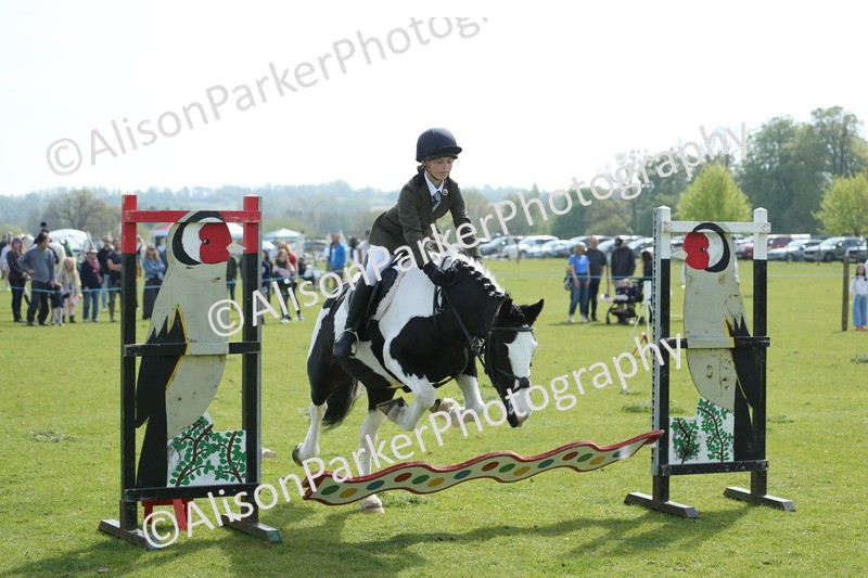 20260426-1520 - Class 14 - Novice 60cm