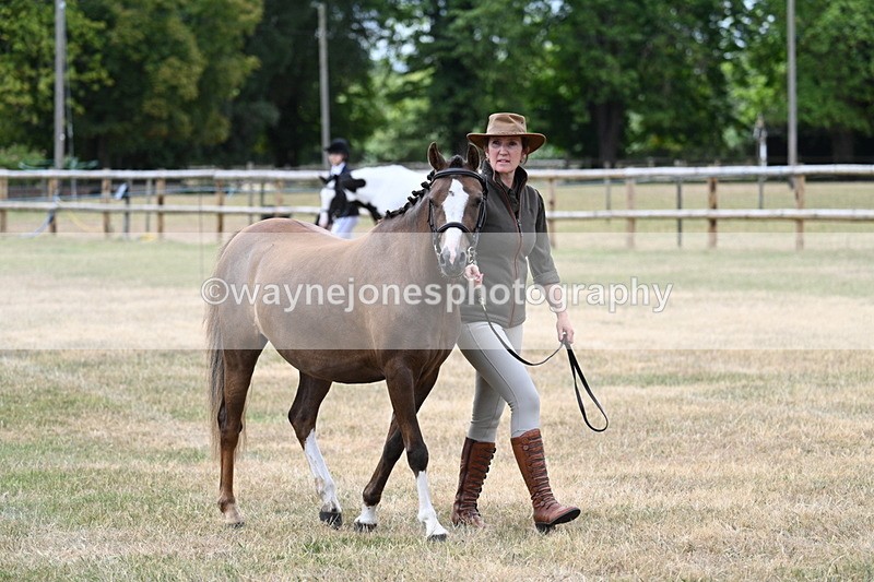 WJ7_1446 - Class 4 Prettiest Mare up to 14.2hh in hand