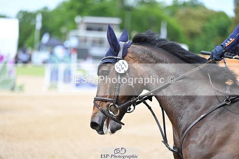 240525-152203-17701 - 521-DIVALI-Elaine_Pen