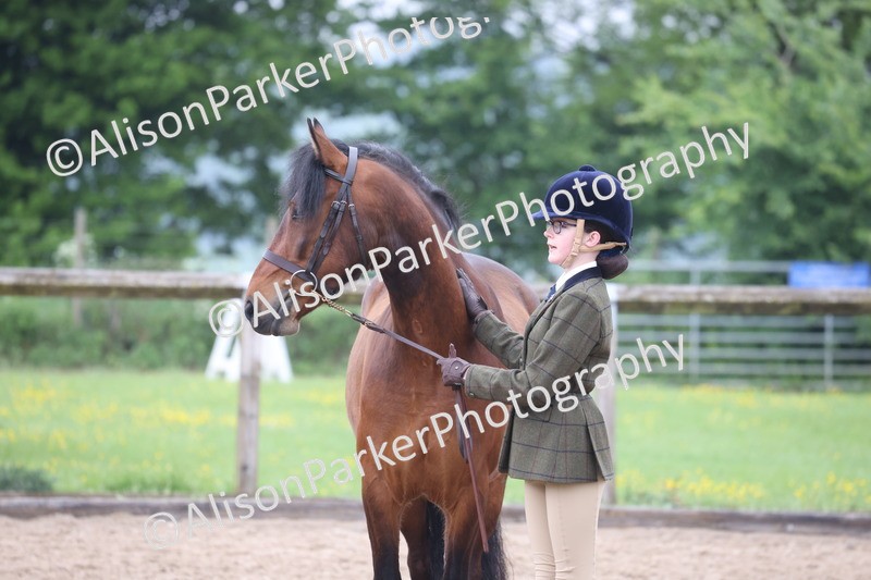 20260504-0183 - Class 2 - Youngstock