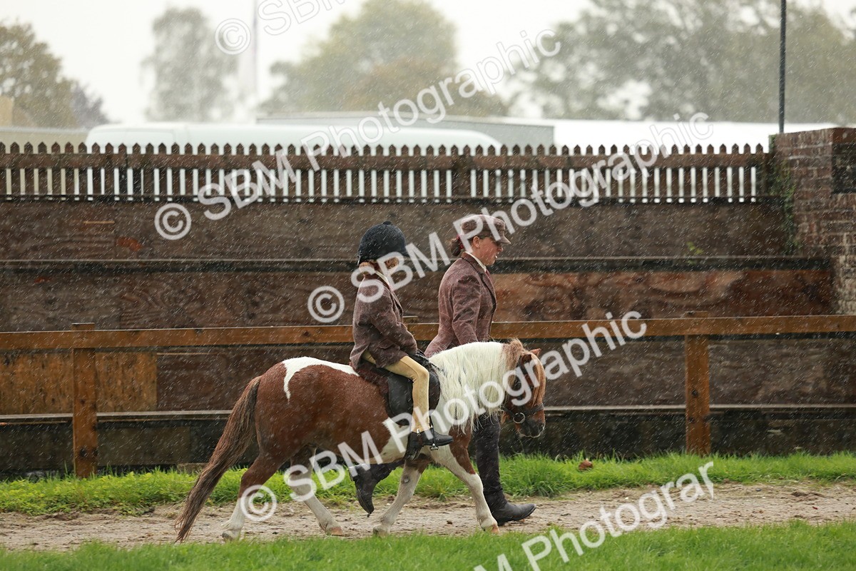 SBM_33664 - S9 - Lead Rein Equitation
