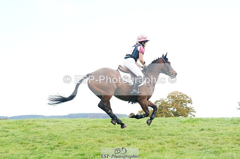 251025A-110642-18493 - E-384-Holly.Horton