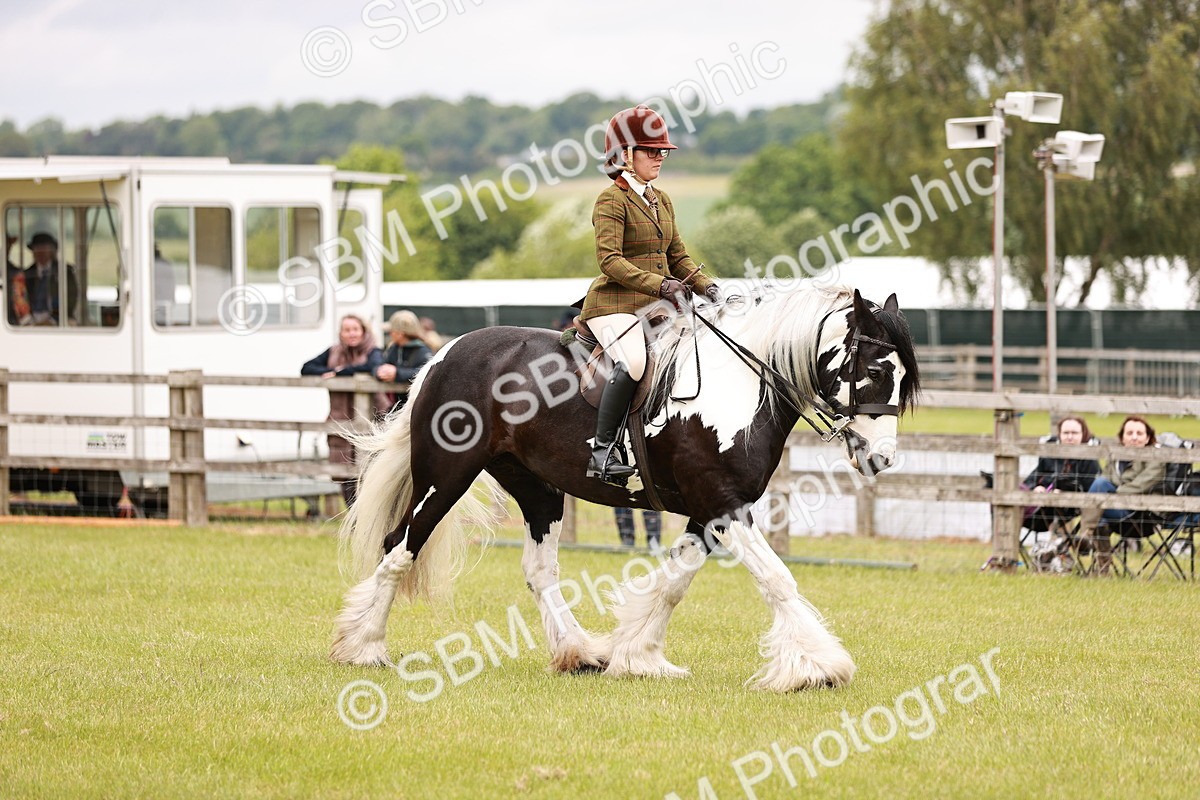 SBM_06209 - Class 39-41 TGCA In Hand and Ridden