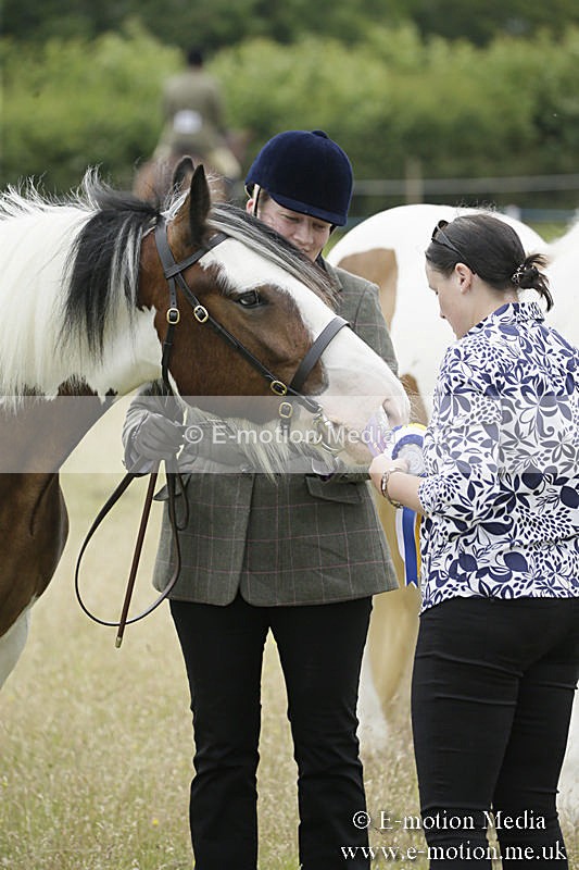B230619-0700 - Bourne Valley Riding Club Summer Show 23/06/19