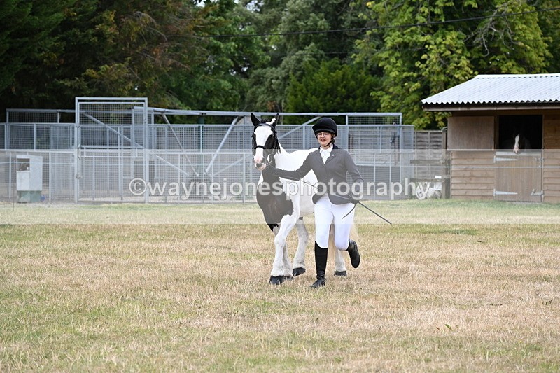 WJ6_4247 - Class 10 Coloured In-hand