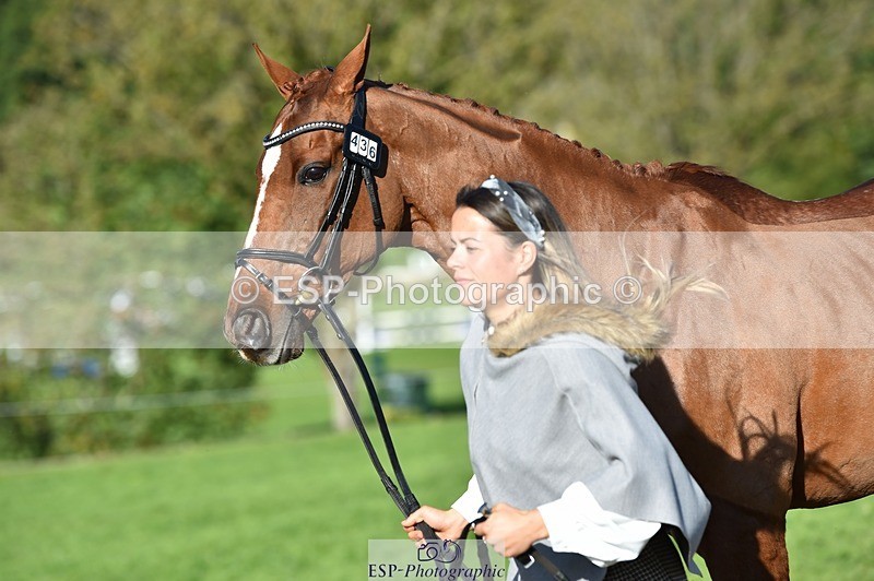 231022-110626-23728 - 436-MASSACHUSETTS-Georgia.Henderson-TrotUp+SJ