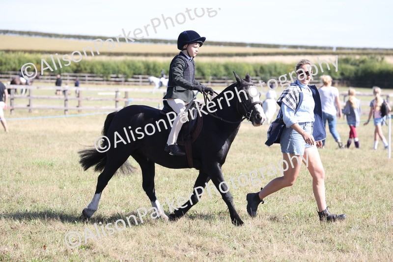 20260906-2204 - Class 16 - Family Pony
