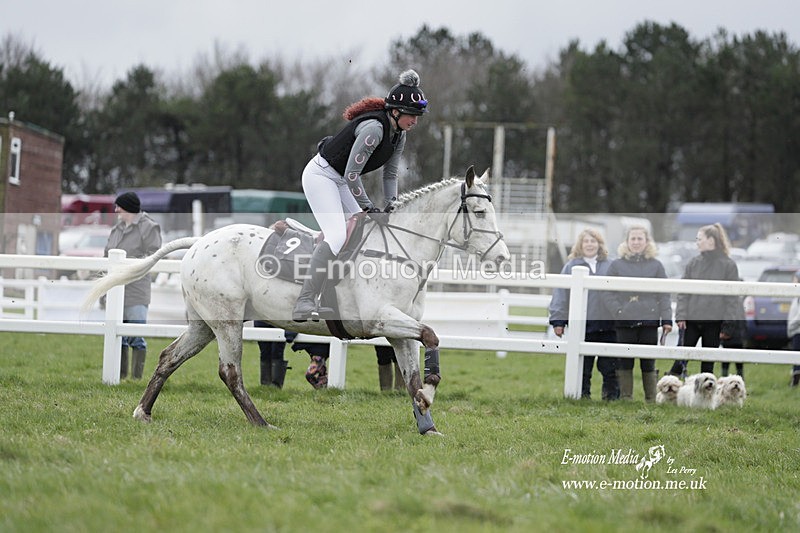 PtP 260323 0247 - New Forest Hounds Point-to-Point Larkhill 26/03/23