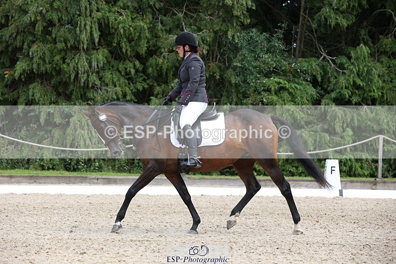 230812-135750-04353 - Cls 5 Novice Bronze 13.40 to 14.45 break