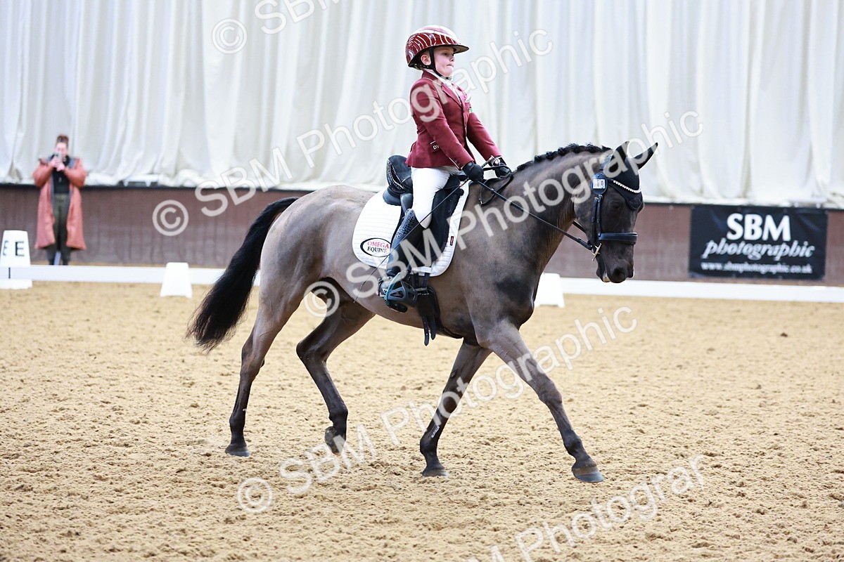 0B8A3891 - Class 3-6-9 - Prel Nov Ele - FSM