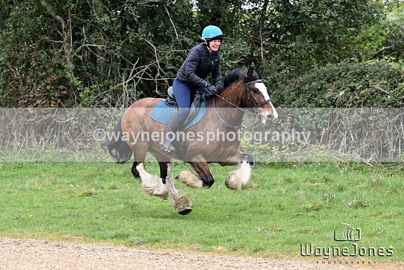 WJ7_2460 - Edited examples