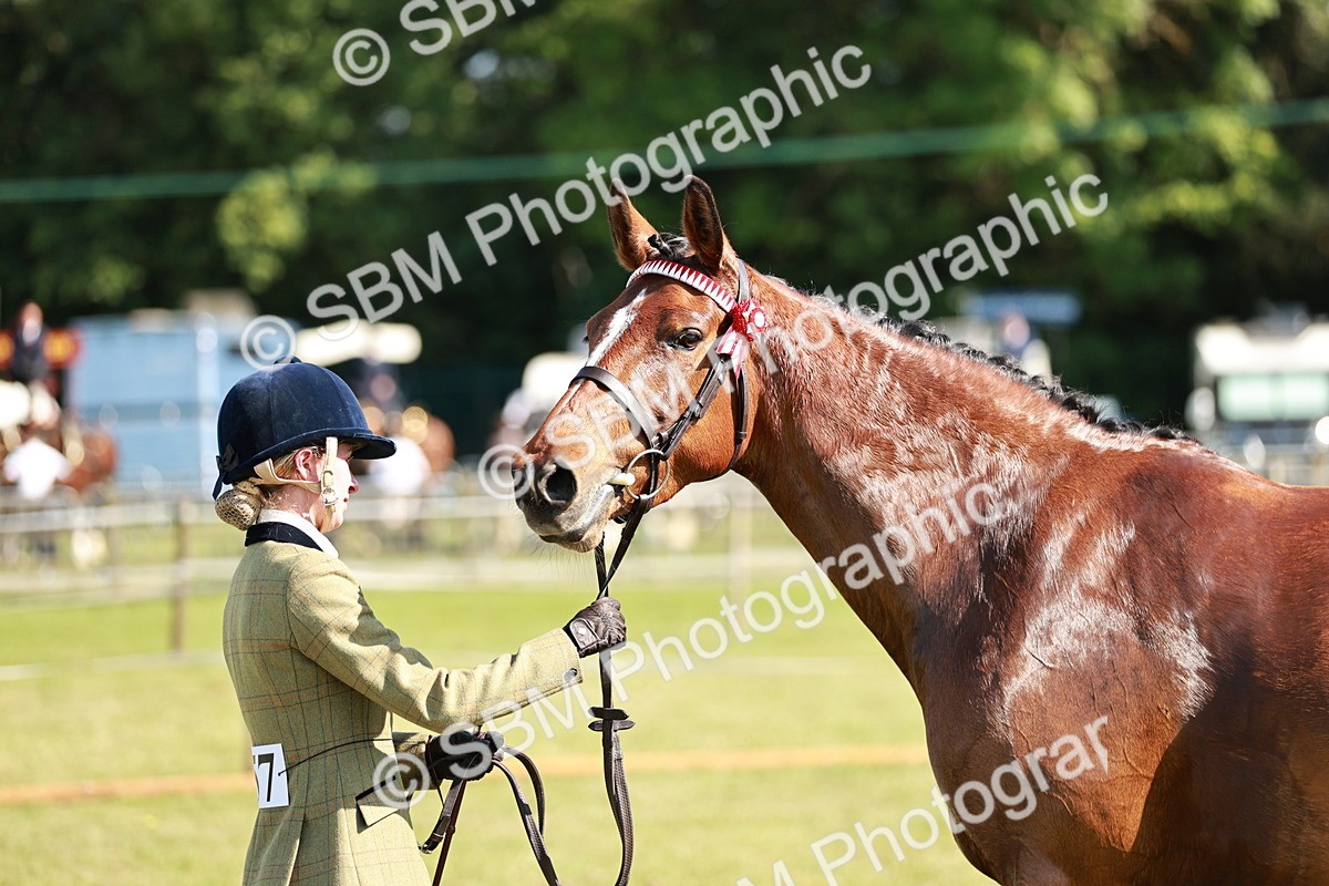 SBM_18930 - Class 114 - RIHS & SEIB Open Working Show Horse
