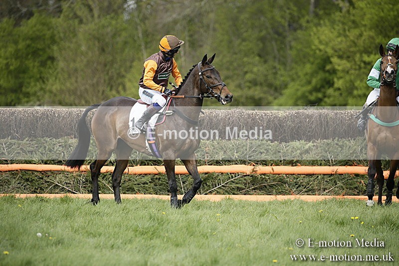 PtP 170417 160 - Old Berks Point-to-Point Lockinge 17/04/17