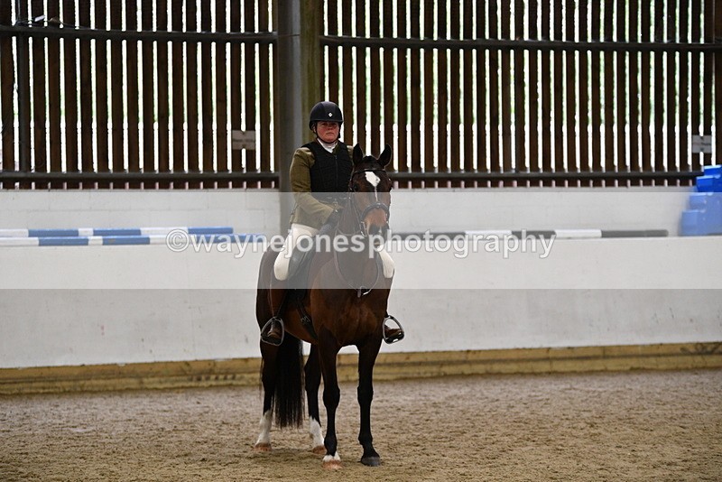 WJ5_8031 - Class 13 Ridden Part Breed