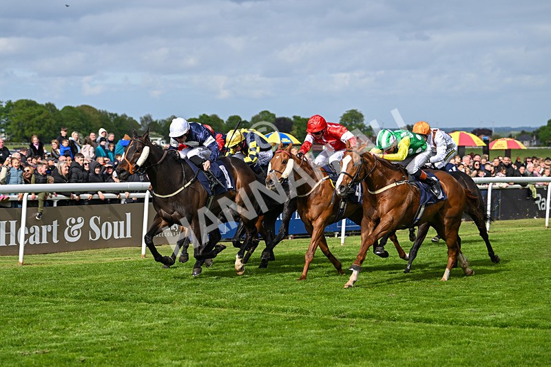 050525-Race 5-Hover On The Wind-4965 - Race 5