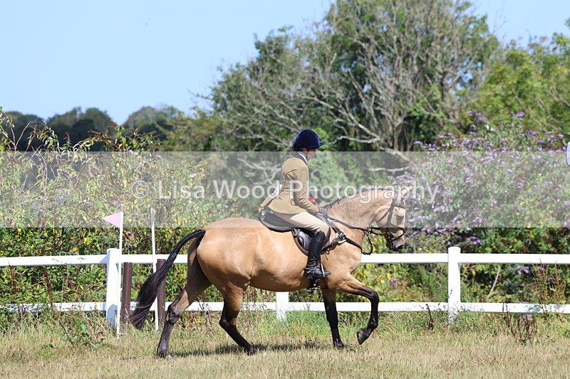 3E7A6365 - Working Hunter Championship