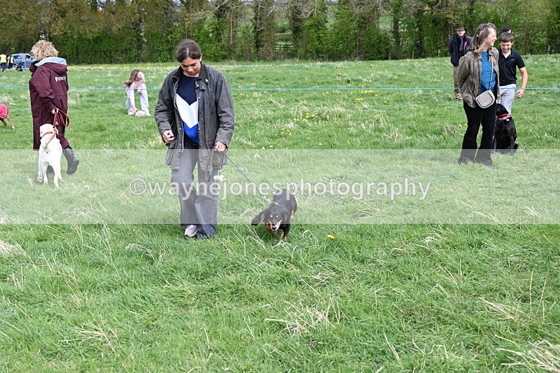 WJ6_8355 - Class 4 Prettiest Bitch