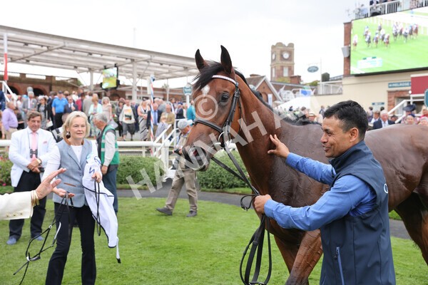 yr18082022r6-64 - Race 6 4.45 pm OR8wellness ebfstallions Nursery Handicap