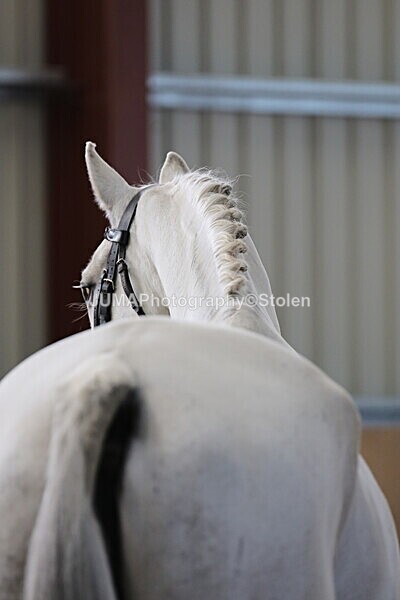 SIAL9978 - Indoor Classes