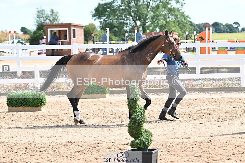 240717A-152229-02794 - Trot Up 3pm to 4pm