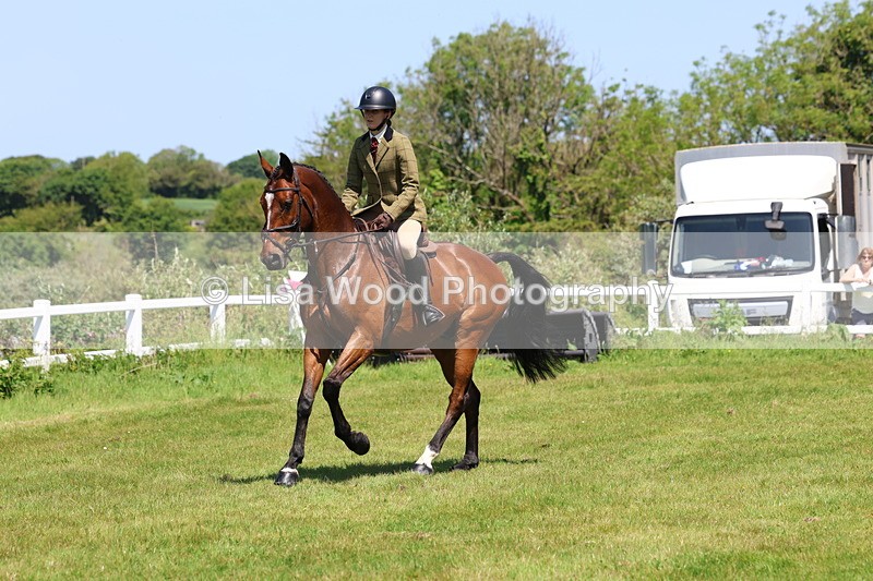 3E7A7245 - Class 30: Novice Working Hunter