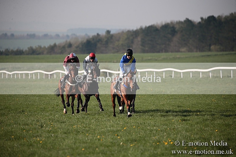 PtP 210418 602 - South & West Wilts Point-to-Point Larkhill 21/04/18