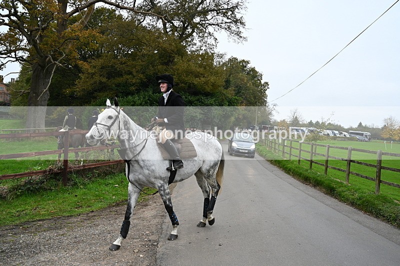 WJ7_7204 - The Meet
