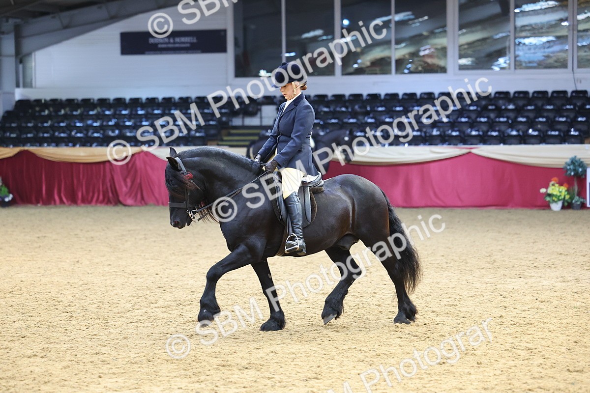 SBM_23921 - Class 905 - Supreme Final - Ridden Veteran