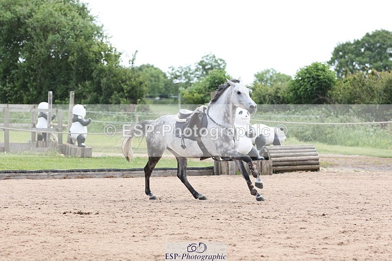 250525-111052-07732 - Cla 27 A&B 1.05 & 1.10m Snr Gran Prix