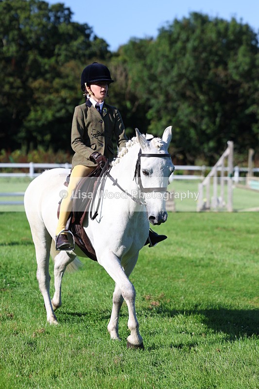 3E7A7521 - Class 1: Novice Working Hunter Pony