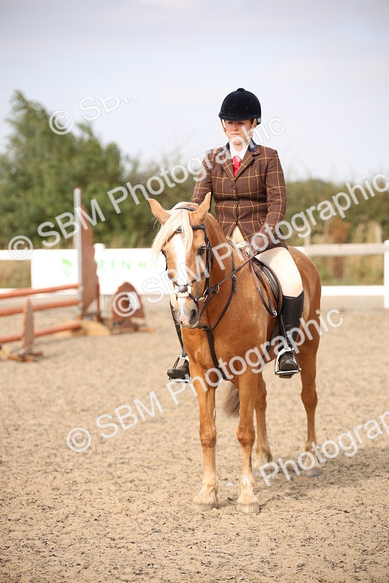 SBM_16098 - Class 408b - Working Veteran 70cm (20+)