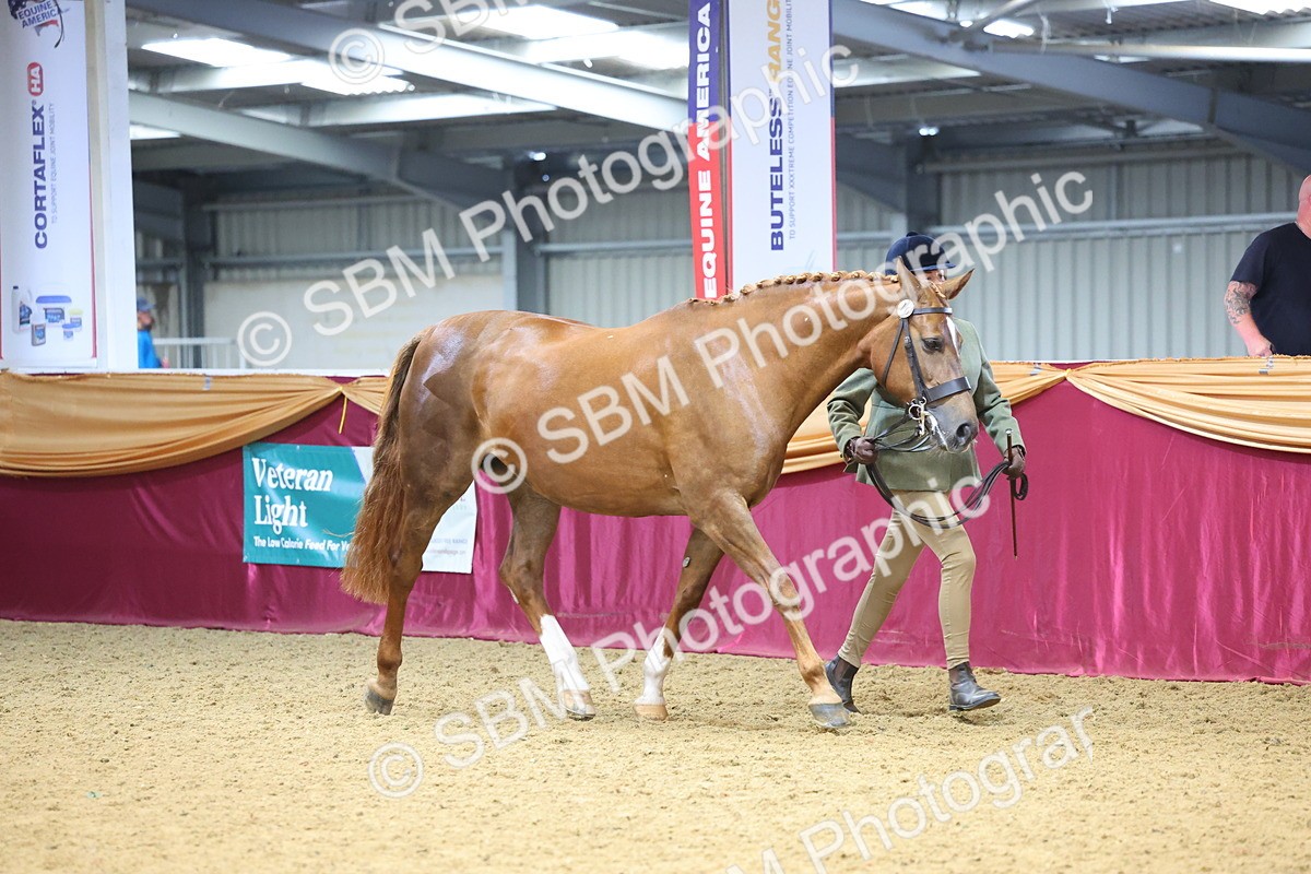 SBM_22667 - Class 903 - Supreme Final - IH Pre Vet